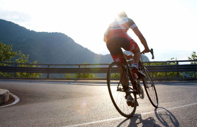 Agroturisme Sa Torre - Photo 16