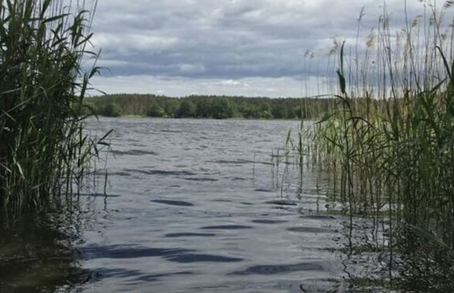 Finnhutte Seeblick Comfortable Holiday Residence - Foto 15