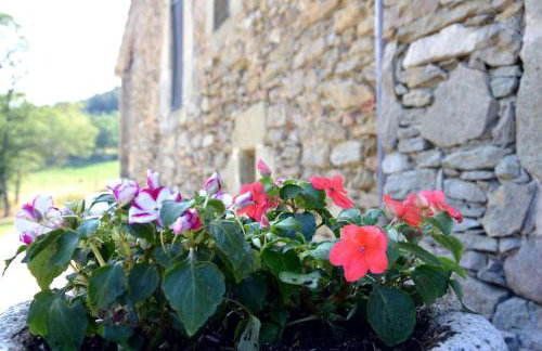 Mas Sabaters - L'Era de Sabaters - Foto 32