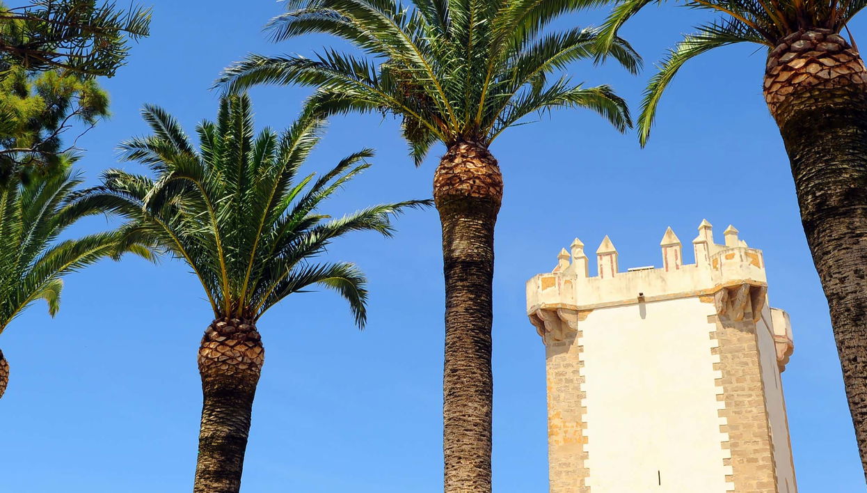 Tour in Conil de la Frontera - Photo 2