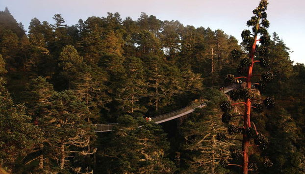 Hiking in the Sierra Norte in Oaxaca - Foto 3