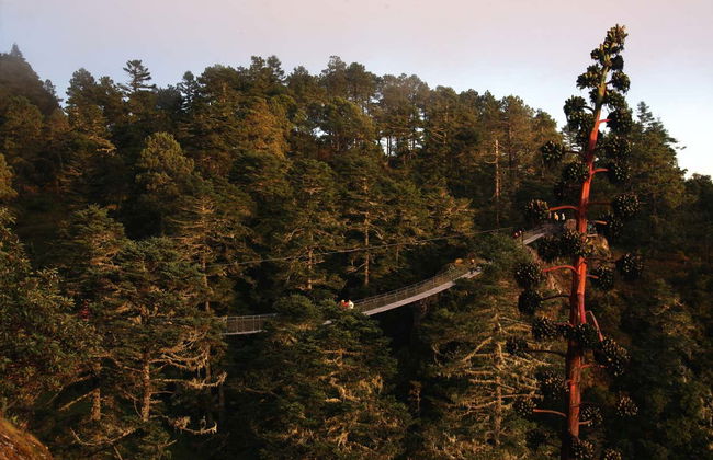 Hiking in the Sierra Norte in Oaxaca - Foto 1