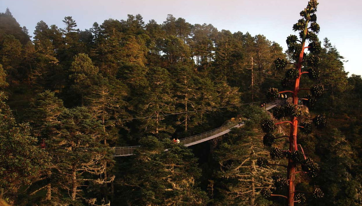 Hiking in the Sierra Norte in Oaxaca - Foto 1