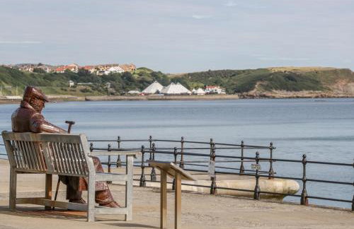 Sanderling - Foto 23
