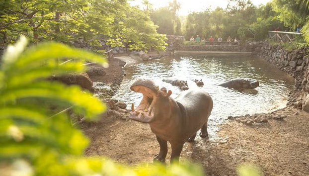 Oasis Wildlife Fuerteventura - Foto 3