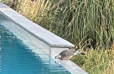 Studio Campus grandes Écoles Techlid Interpole - Foto 21