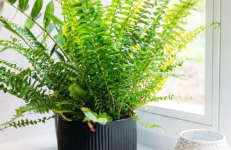 Kichinger Hof 37 - Foto 8