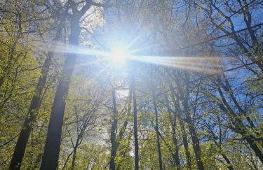 Domki Na Wzgórzu - domek nr 1 - Foto 27