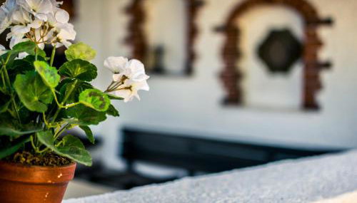 Apartments Maestral - Foto 4