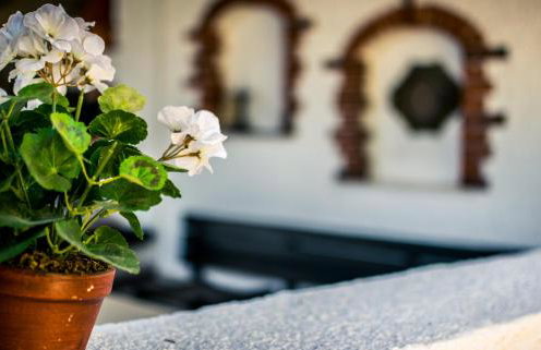 Apartments Maestral - Foto 4