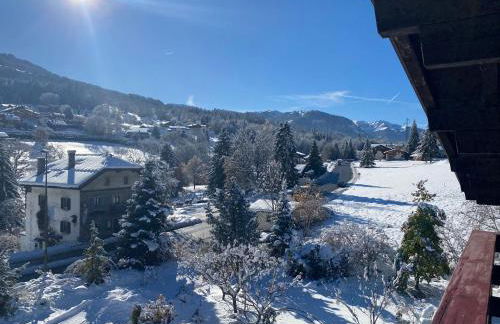 appartement 103m2 près de Megève, face à télécabine la Princesse,2 chambres , garage, local à ski - Foto 48