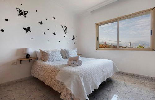 Jalón de Cameros - Foto 12