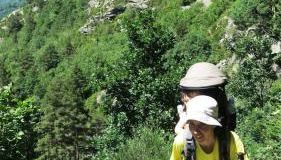 Apartamentos Rurales Les Barnedes - Foto 3