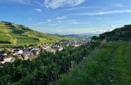 Weingut & Straußwirtschaft Vogel - Foto 52