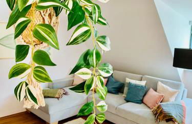 Traumwohnung - direkt am Marktplatz - Foto 8