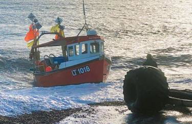 Beautiful Immaculate Aldeburgh cottage, free parking, sunny outdoor space, dog friendly - perfect for Spring seaside escapes - Foto 38
