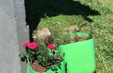 Casa no Vale dos Vinhedos - Foto 13