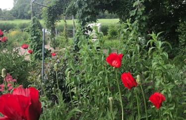 Apartments Herrlichkeit Dornum - Foto 7