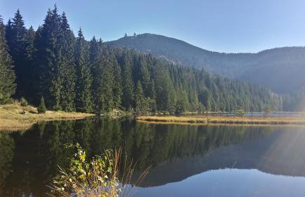 Wildnisresidenz am Nationalpark - Foto 52