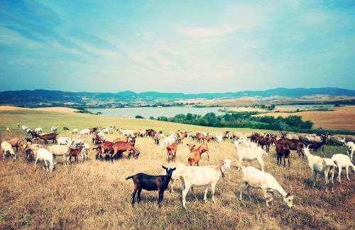 Agriturismo L'impero - Foto 26