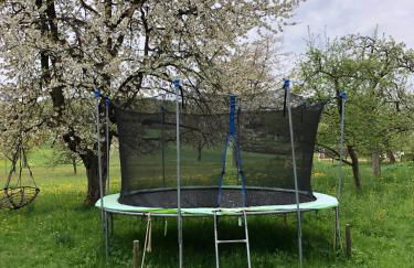 Kleine Ferienwohnung auf dem Land, Haus Hans Stepha - Foto 30