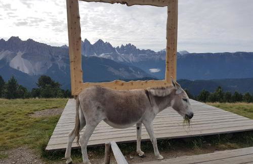 WEINBERG APARTMENTS with Brixen Südtirol Card - Photo 71