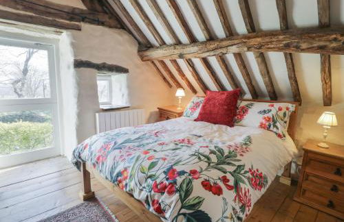 Old Ty'n Y Wern - Foto 16