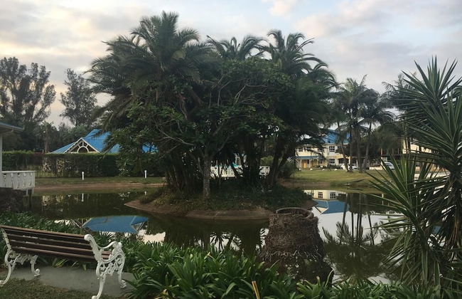 Caribbean Estates Villa & Apt - Foto 47