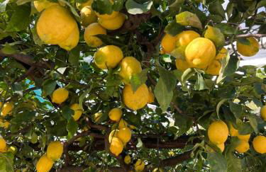 Casa Positano - Foto 57