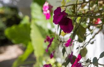 Apartment Bruno - Foto 28