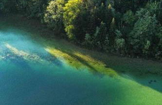 Villa Jura, l’écrin à pied entre village et pistes - Foto 45
