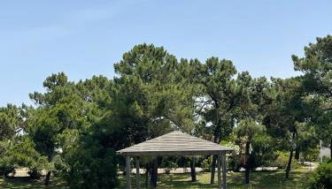 Happy Stork Tróia Beach Flat - Foto 2, Garden