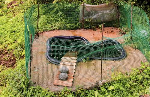 Live Buenavista El Palmar - Foto 51