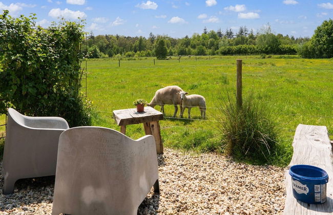 Cottage in Dwingelderveld With Scenic Views - Foto 34