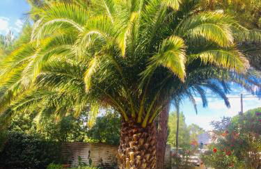 La Taniere, piscine et 300m de la mer - Foto 20