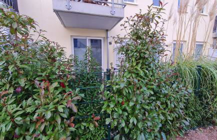 Ferienwohnung Ostsee Graal-Müritz Küstenwald - Foto 47