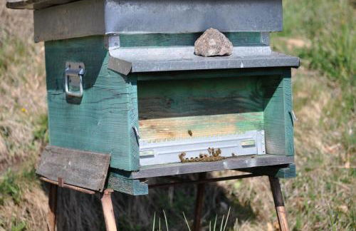 Casa "Berto e Costantina" - Photo 35