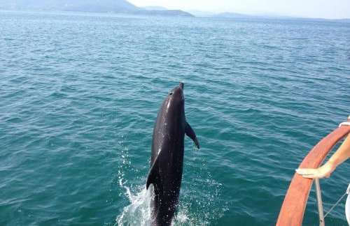 Koronisia Apartments - Foto 48