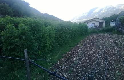 Al Peschio Pizzuto Agriturismo - Foto 26