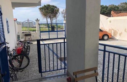 Corallo Neroo - Foto 3