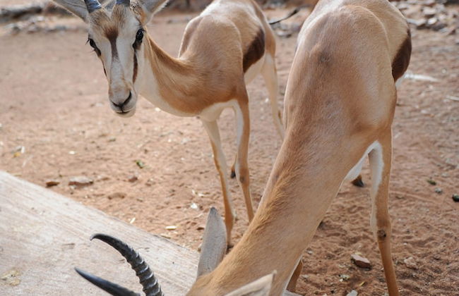 De Werf Lodge - Photo 33