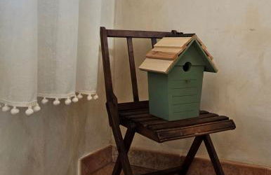 Mi Limón mi limonero - Foto 38