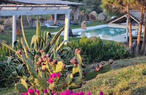 La Quercia della Gallura - Foto 11