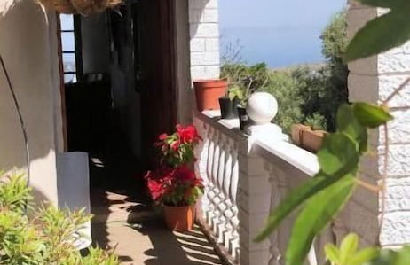 Los Viejitos en Firgas - Foto 36