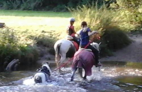 at Bunge Heath Farm - formerly TUI Ferienhaus - Photo 16