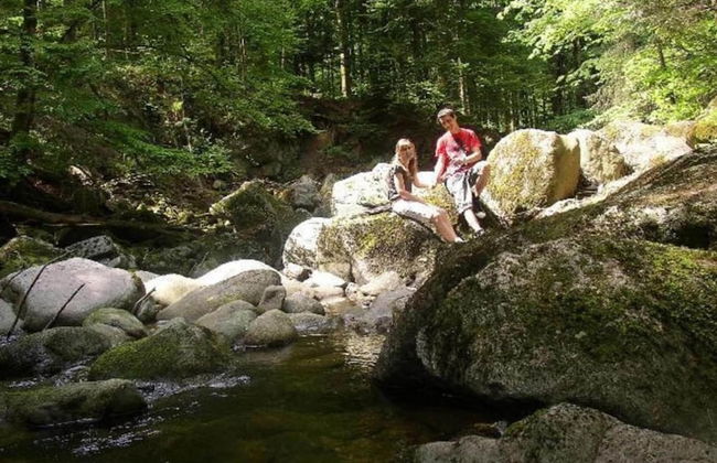 Apartment in Freyung Near Bavarian Forest - Foto 36