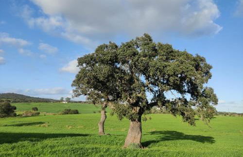 Pátio do Forno - Foto 7