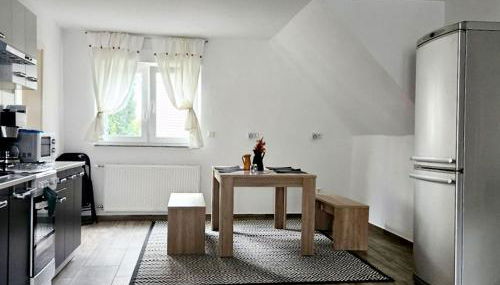 Work & Stay in Mannheim - Foto 3, stove, dishwasher, pet friendly, minibar