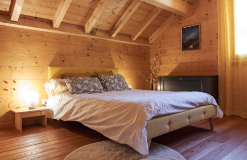 Chalet Veyrier, 900m du pied des pistes de ski - Photo 38