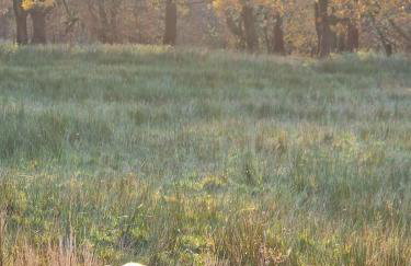 The Old Band Room House No 2 - Photo 23